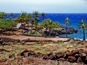 looking-over-lapakahi-village-kohala-coast-hawaii-photo-by-donnie-macgowan_edited-1